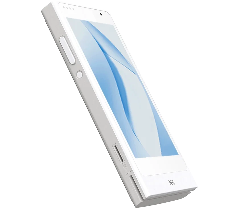 Nexgo N6